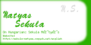 matyas sekula business card